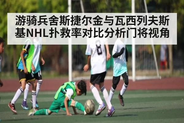 游骑兵舍斯捷尔金与瓦西列夫斯基NHL扑救率对比分析门将视角